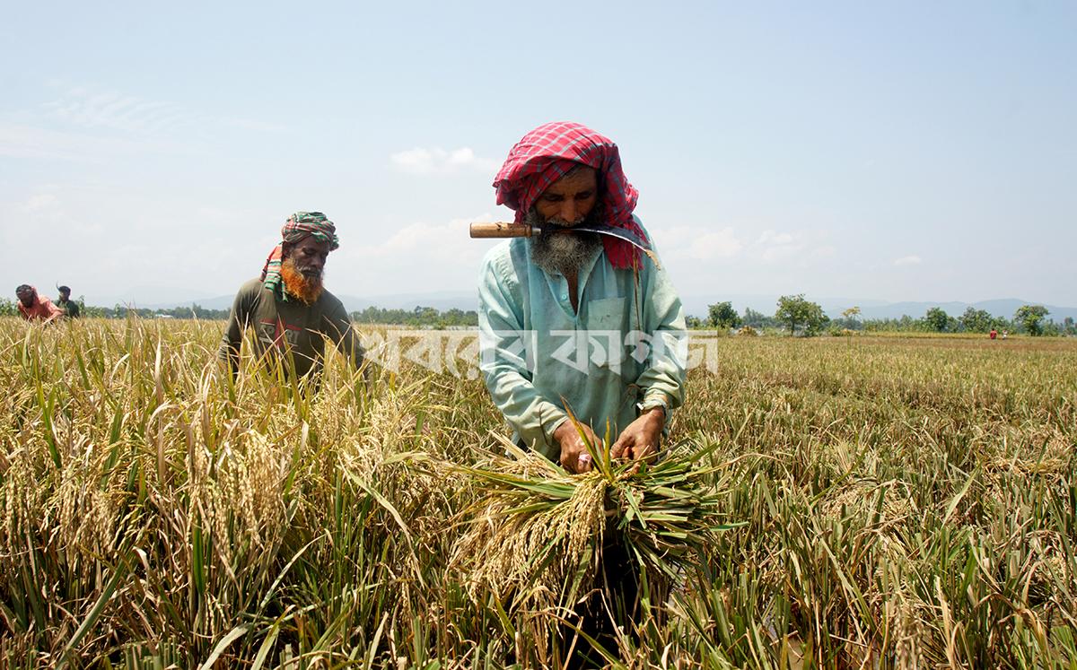 ডিএনসিসি ডেডিকেটেড কোভিড-১৯ হাসপাতাল